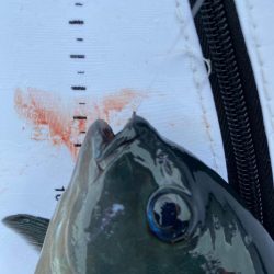 夏らしさ全開！