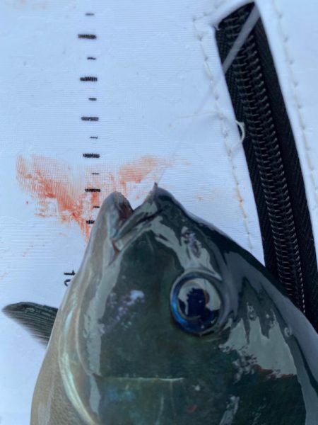 夏らしさ全開！