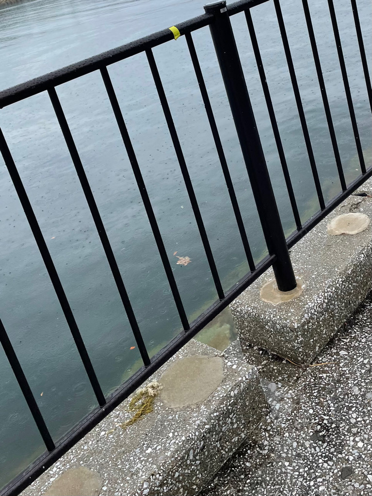 雨にも負けず、、