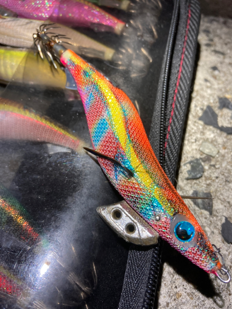 春イカを狙い撃ち!