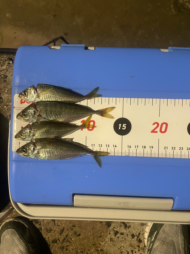 とびしま海道にて