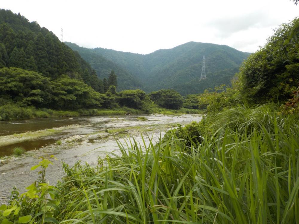 美山4 まだまだ苦戦が続く
