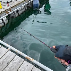 海上釣り堀