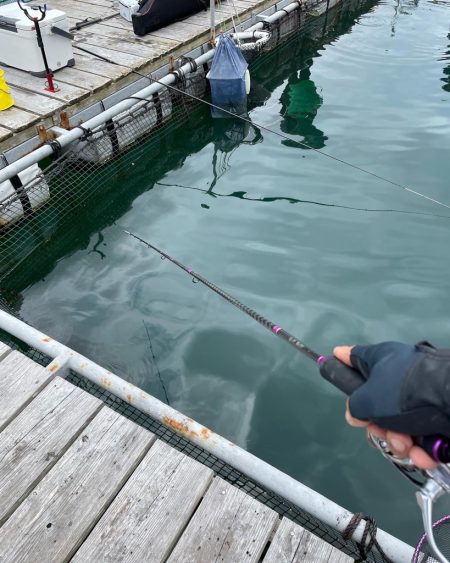 海上釣り堀