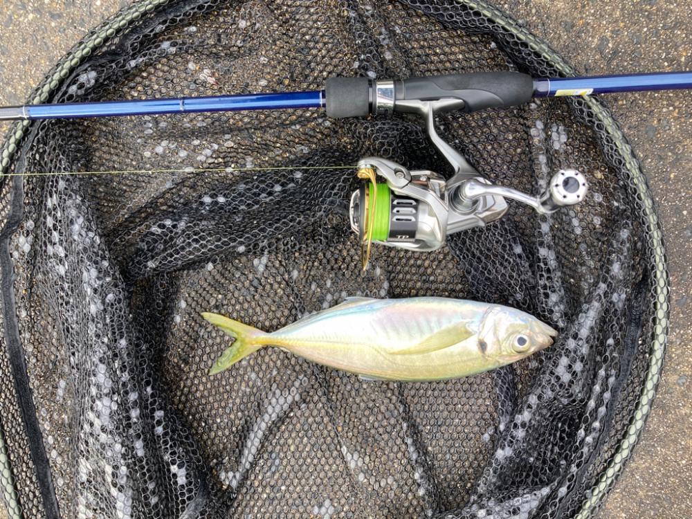 入れ食いすぎて飽きました