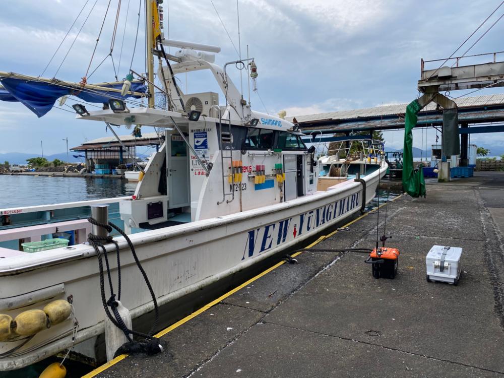 激渋イカメタル