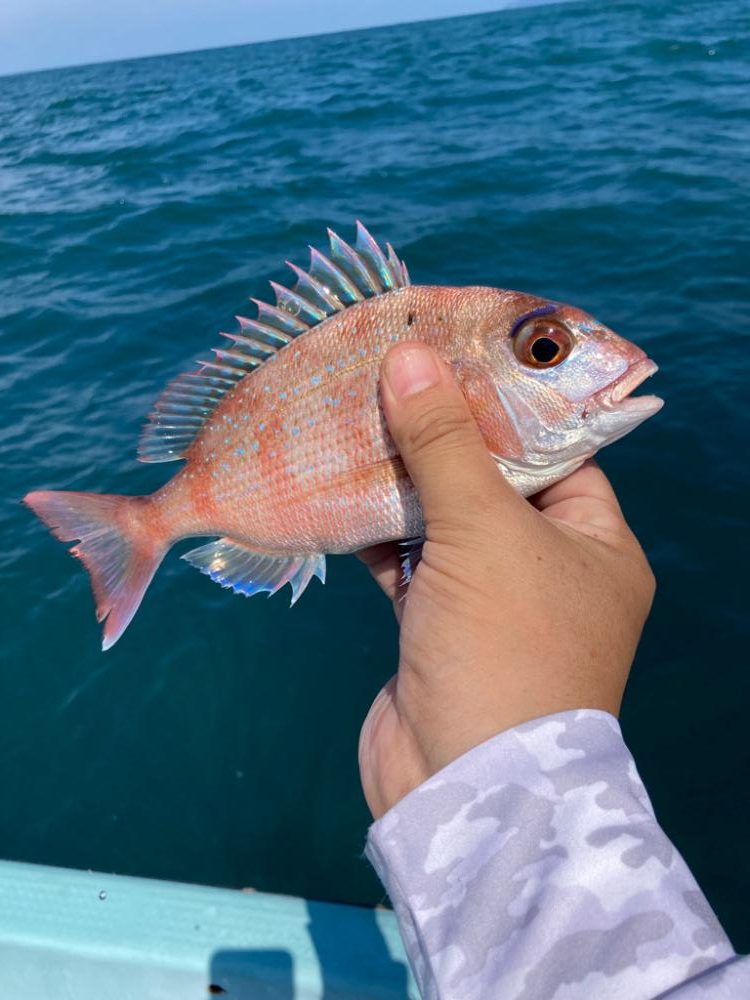 レンタルボートで