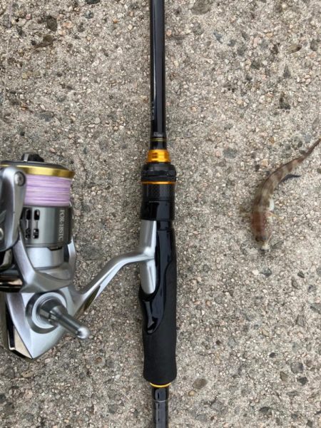 境港でライトロック！