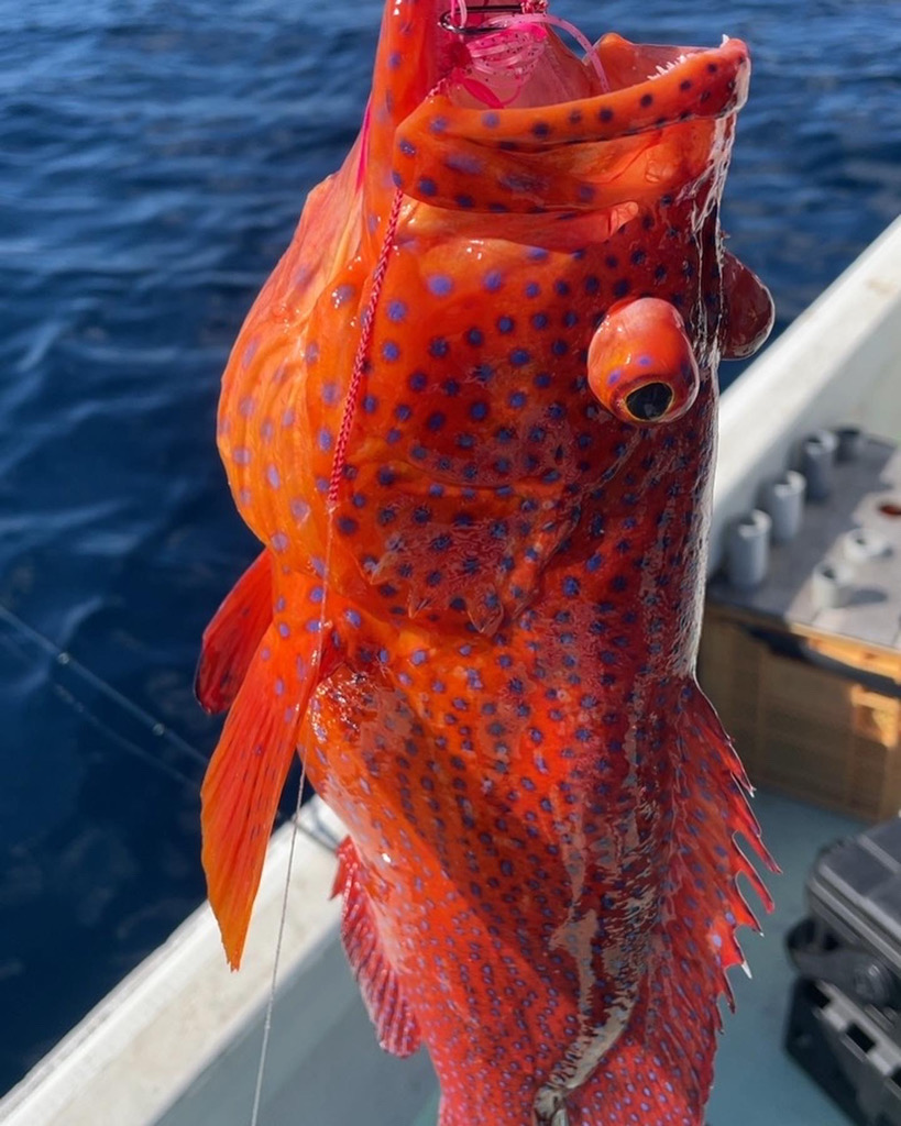 初めての宮古島！