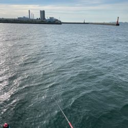 夕まづめ狙いで❗️