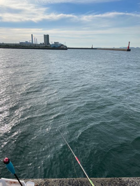 夕まづめ狙いで❗️