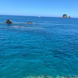 今シーズン最後のグレを求めて