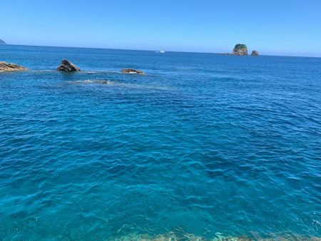 今シーズン最後のグレを求めて