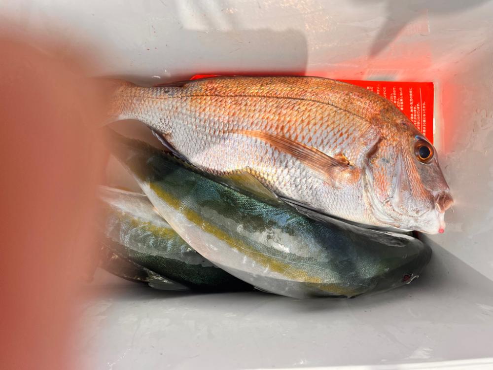 スーパーライトジギング