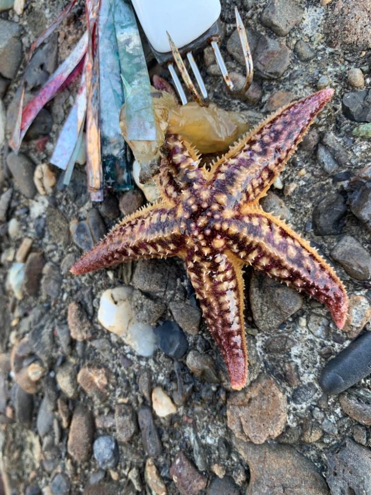 渋いけど、何とか！