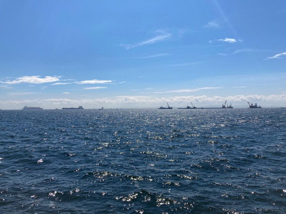 久しぶりのタコ