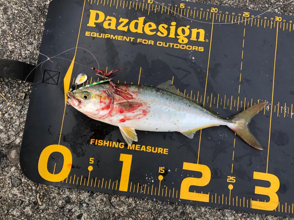 久しぶりにホームへ