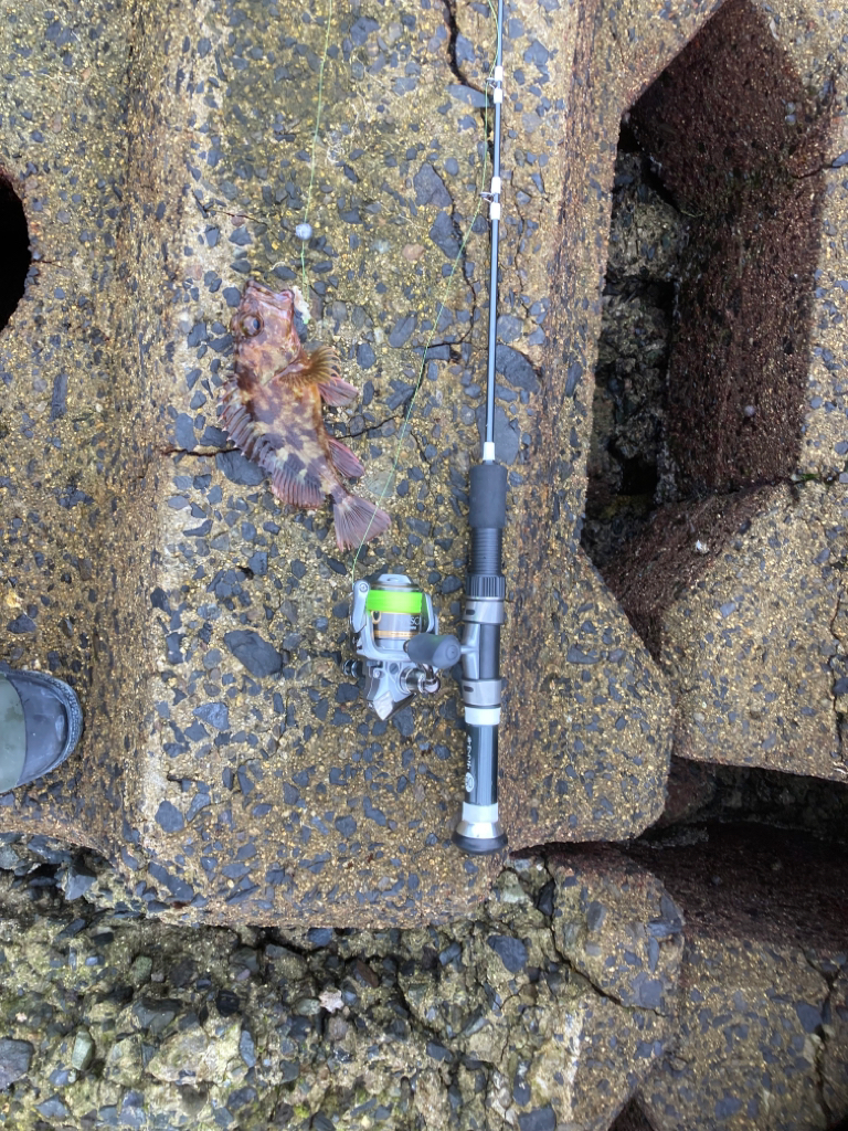 穴釣り/チヌヘチ釣り