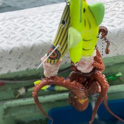 淡路沖船タコ🐙