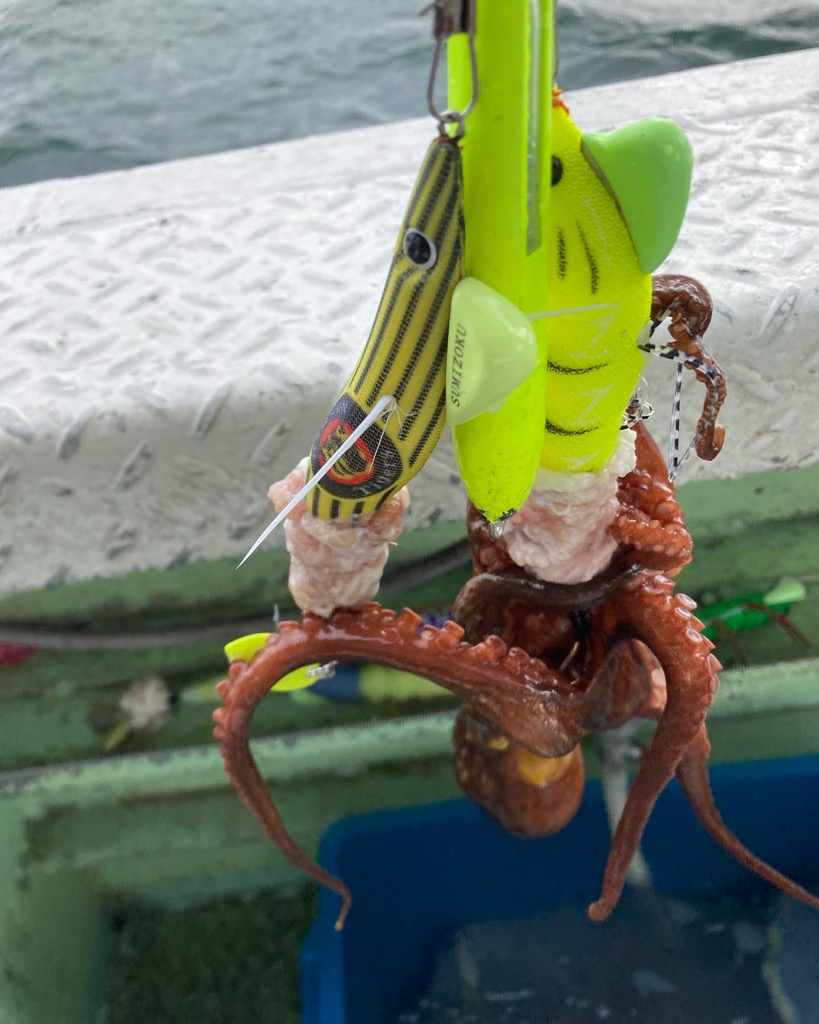 淡路沖船タコ🐙
