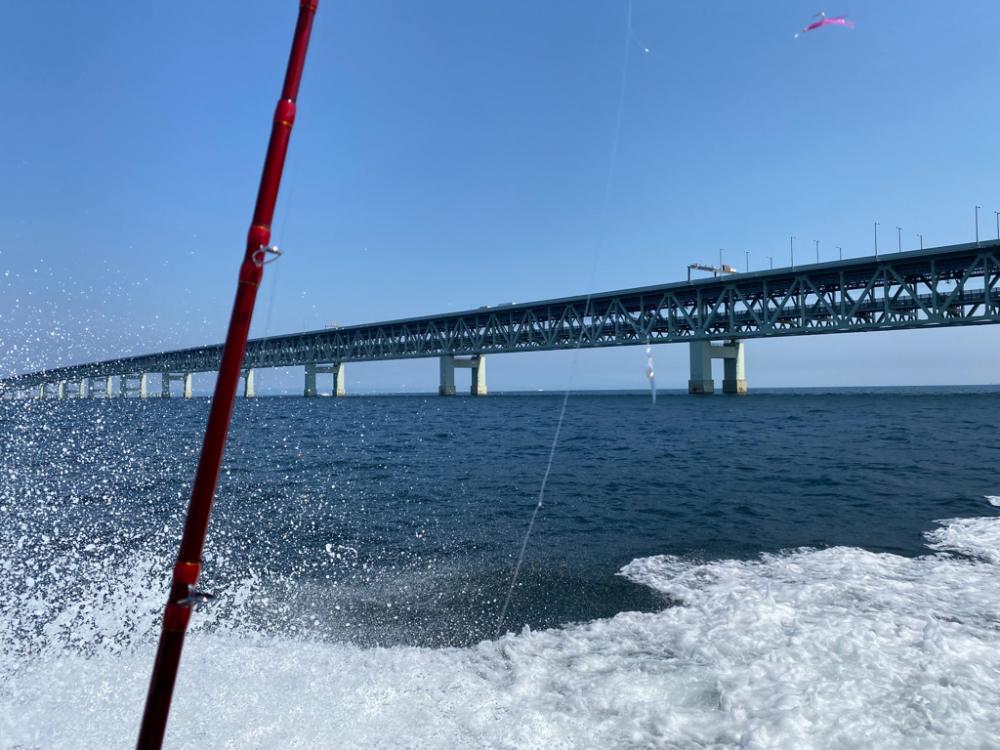 鬼アジを求めて