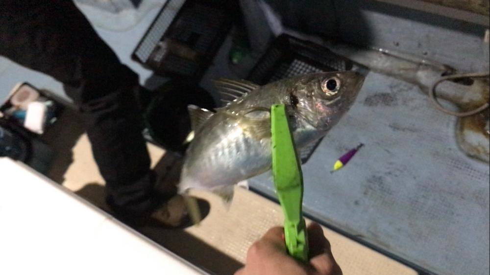 釣り仲間とイカメタル