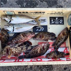 湾奥ライトゲーム!