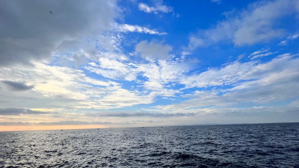 ショアジギング