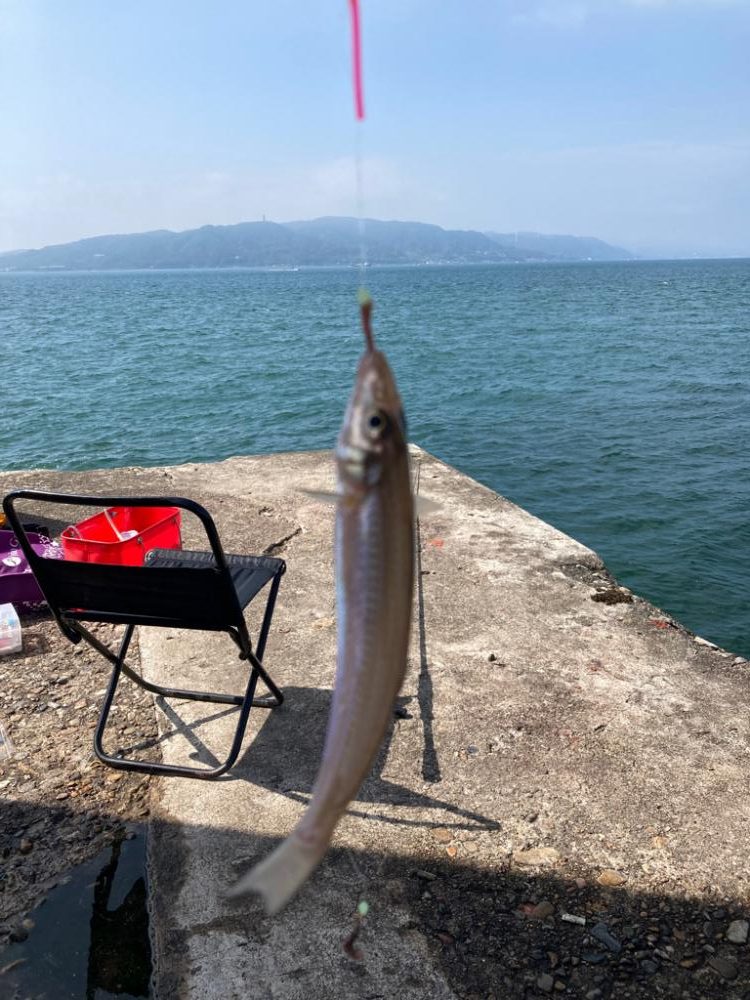 明石ちょい投げキス狙い