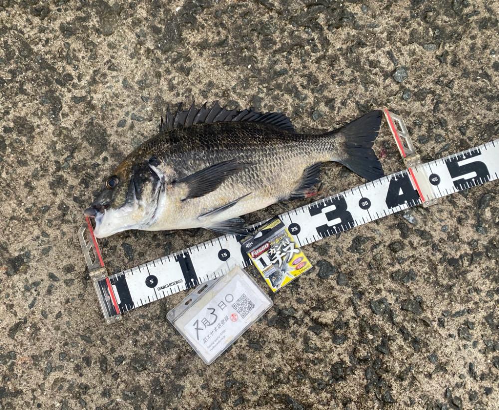 雨が降ったり止んだり