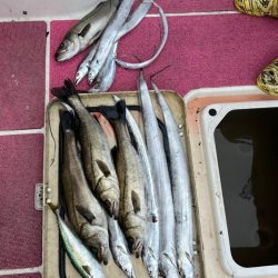 またもや渋々(苦笑)