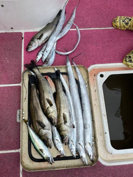 またもや渋々(苦笑)