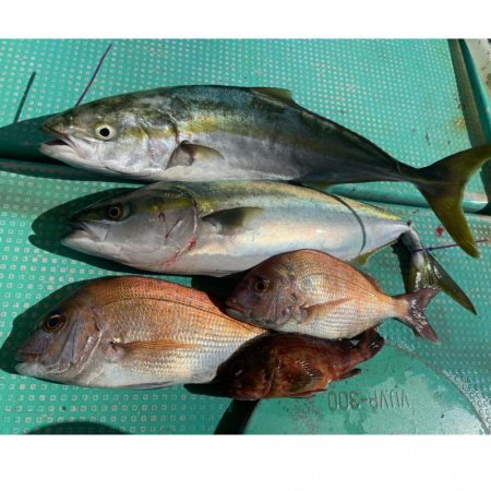 明石でタイラバ！