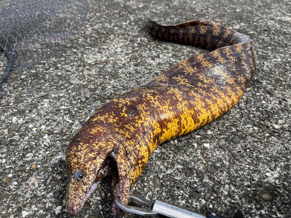 久しぶりの南紀！