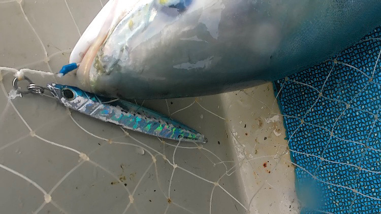 プチ遠征ジギング