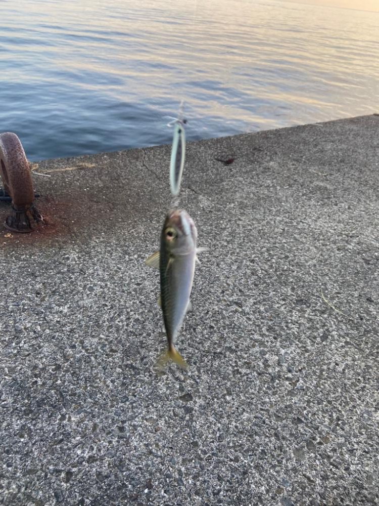 スーパーライトショアジギング SLS