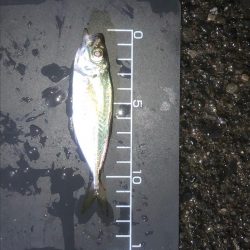 いつものところでいつものように…