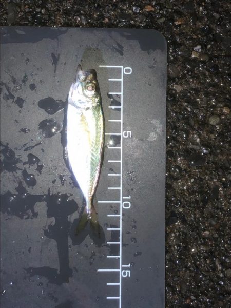 いつものところでいつものように…