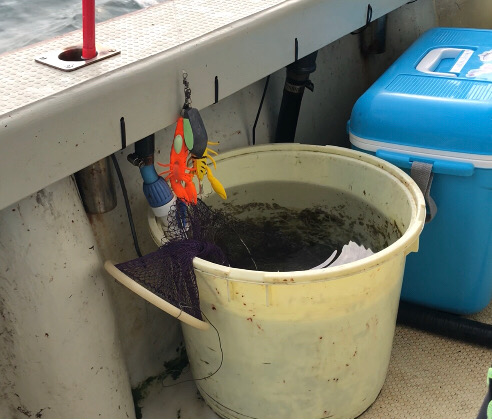 舟タコもうストック切れ⁈