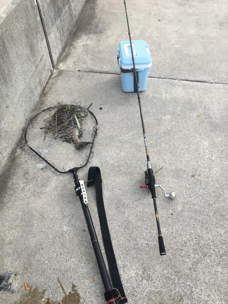 久しぶりのシュアタイラバ