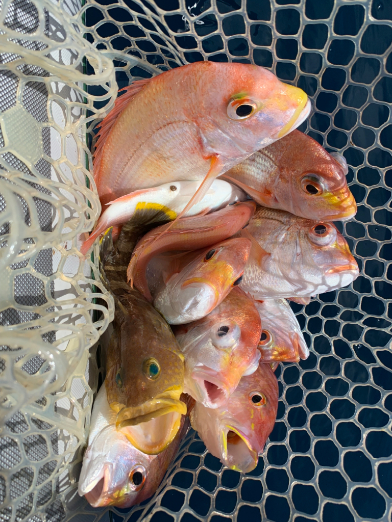 マイボートでアマダイ狙い。