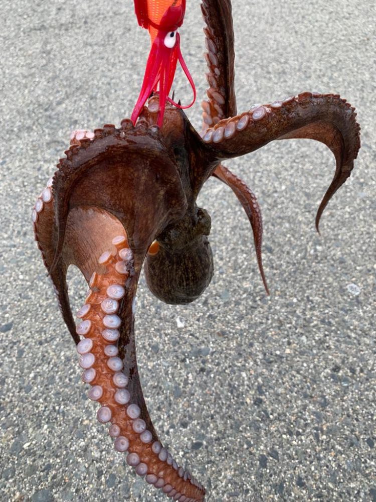 今日も渋い中、何とか！