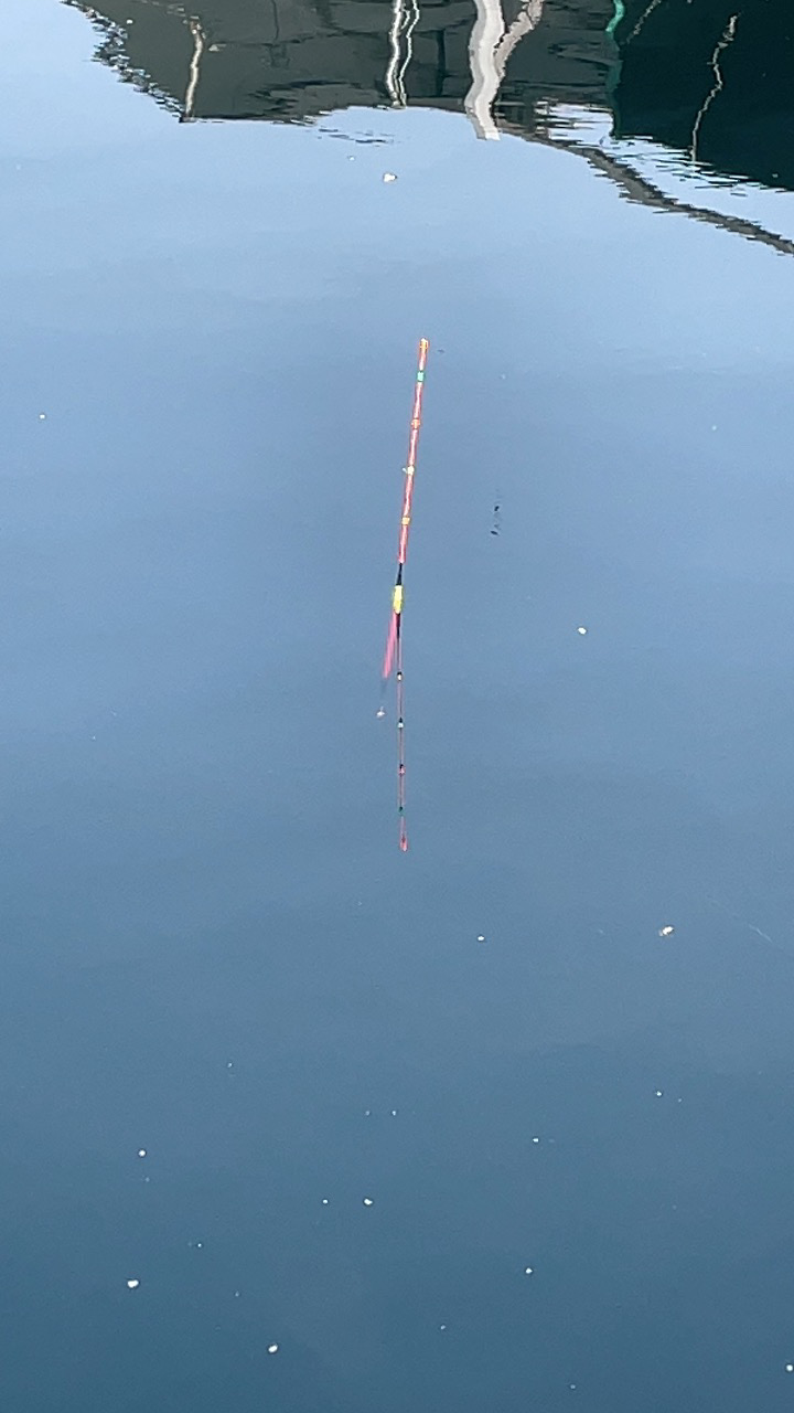 釣堀海恵の釣果