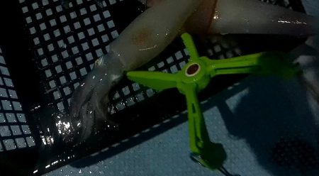 境港イカメタル リベンジ！