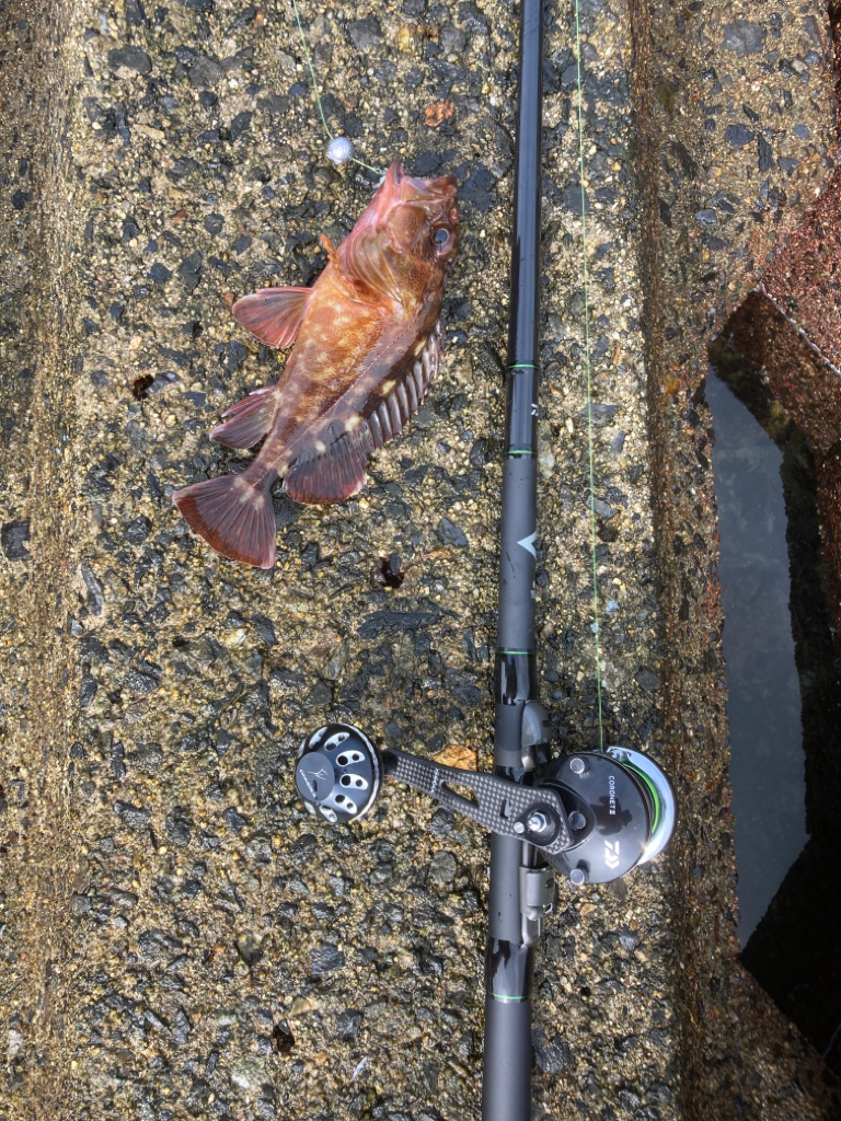 2022穴釣り16回目