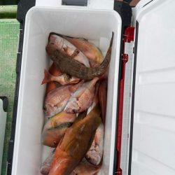 ふね！タイラバ