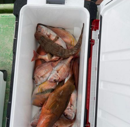 ふね！タイラバ