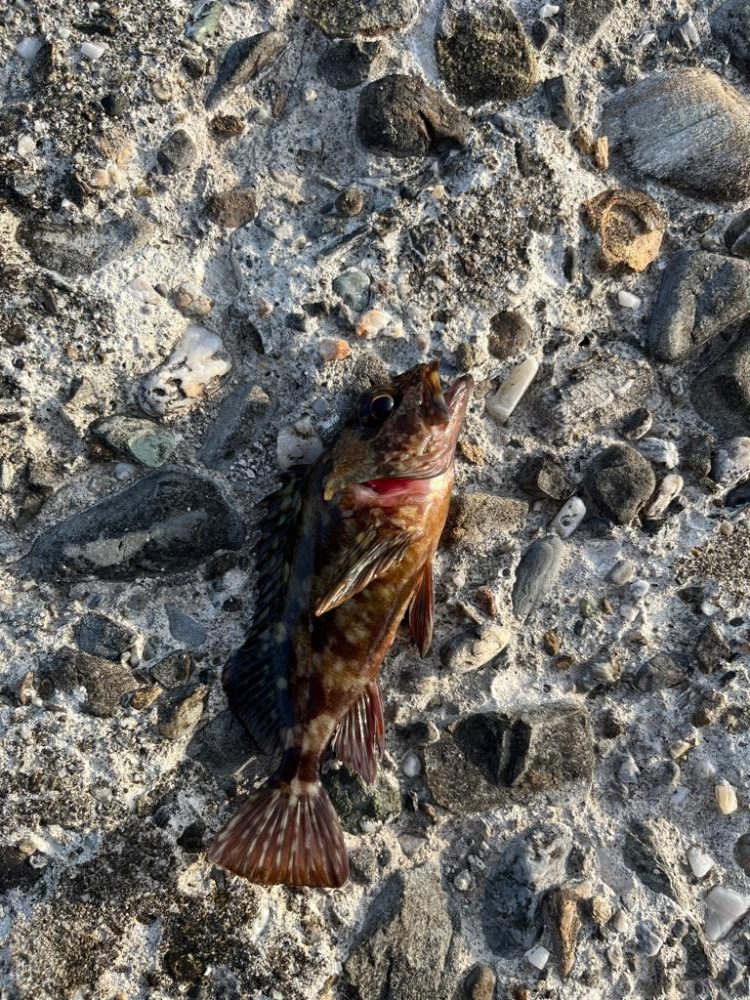 パターン掴めず