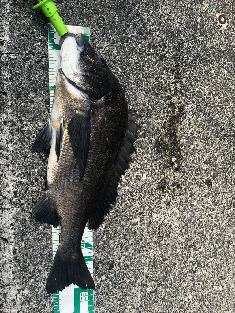 須磨ヨットハーバー沖一文字