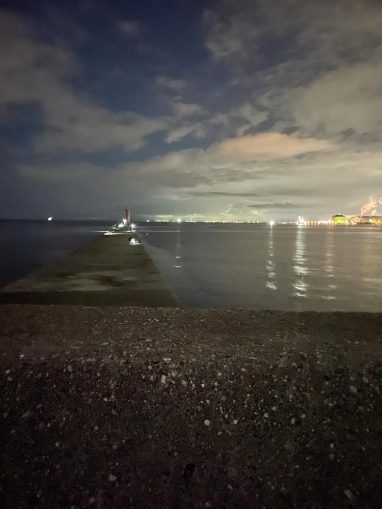 さかなちゃん釣り日記　本荘人工島